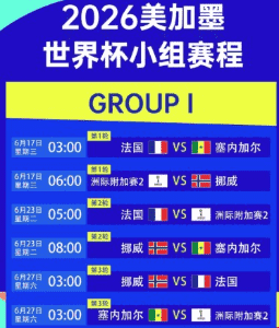 世界杯APP多语言支持